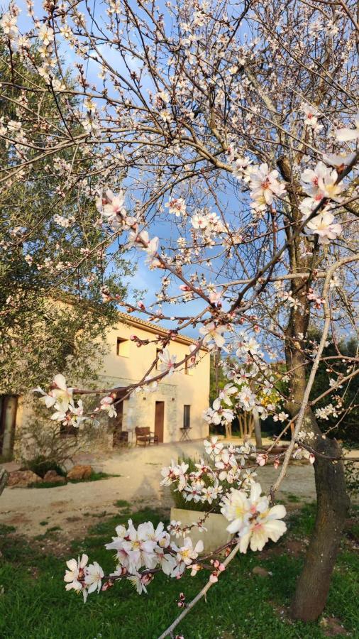Can Costals Naturaleza Pals Dış mekan fotoğraf